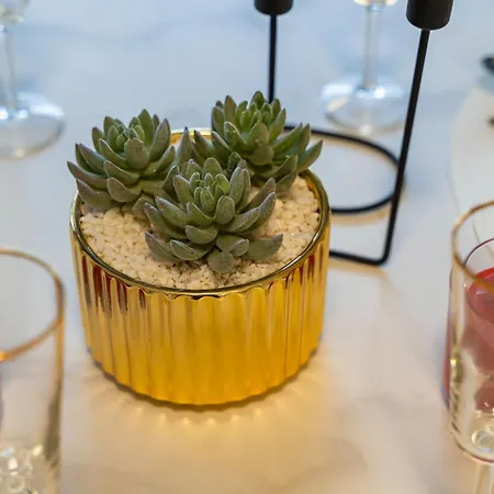 Centre Luxury Цавтат